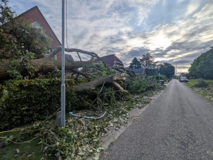 Zomerstorm zorgt voor schade aan monumentale bomen.