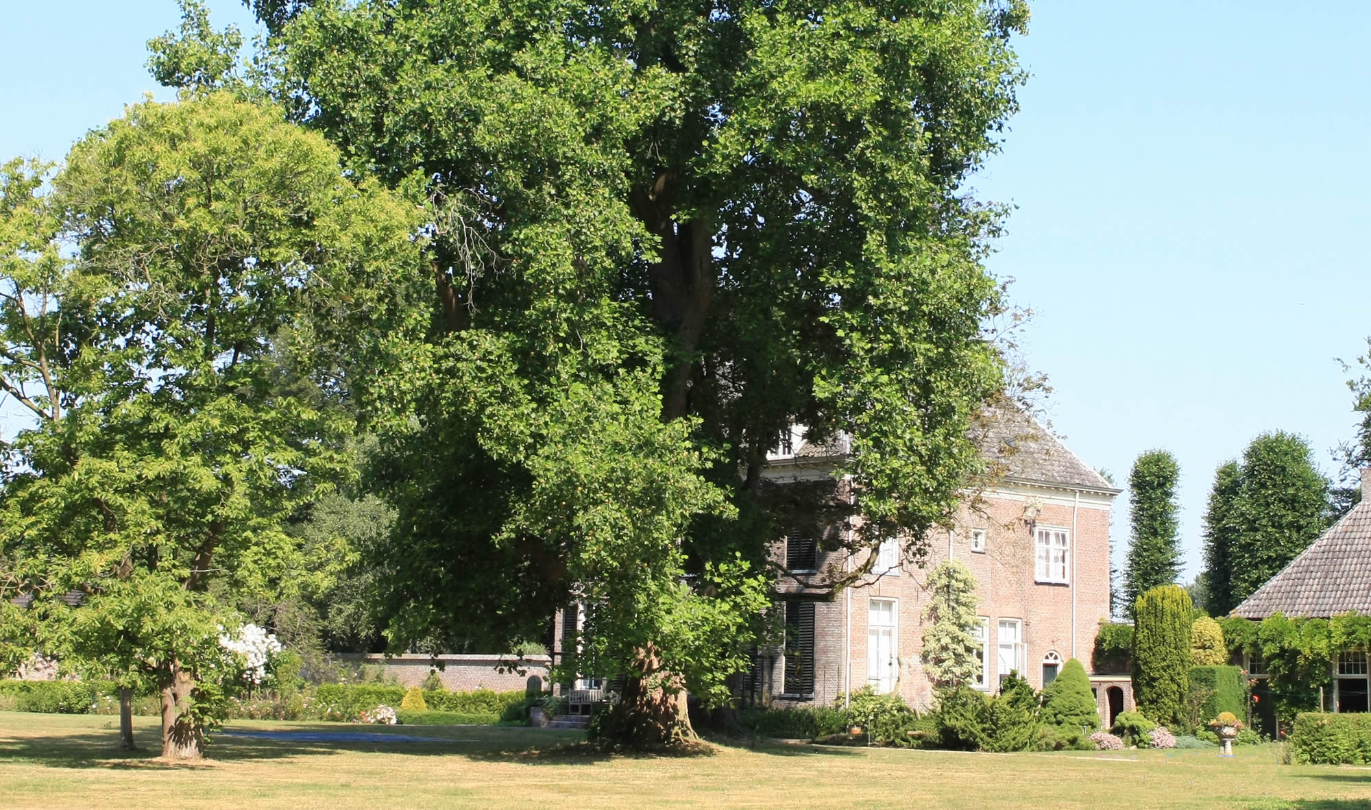 Bomenwacht Drenthe